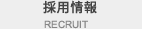 採用情報